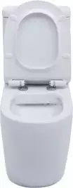 Чаша напольного унитаза Aquanet Rimless Cetus-C1 BL-102N-TPT с сиденьем микролифт