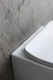 Подвесной унитаз Allen Brau Liberty 4.33007.21 безободковый, цвет белый матовый