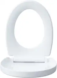 Унитаз подвесной Aquanet ZV-1 с сиденьем микролифт, белый