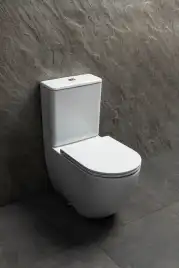 Напольный унитаз Allen Brau Priority Tornado 4.31006.20 безободковый, цвет белый глянец