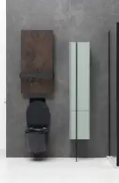 Подвесной безободковый унитаз Allen Brau Fantasy 4.11004.31 без сиденья, черный матовый