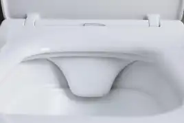 Подвесной унитаз Allen Brau Liberty 4.33007.21 безободковый, цвет белый матовый