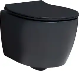 Подвесной безободковый унитаз Allen Brau Fantasy 4.11004.31 без сиденья, черный матовый