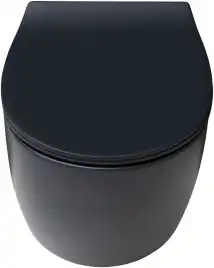 Подвесной безободковый унитаз Allen Brau Fantasy 4.11004.31 без сиденья, черный матовый