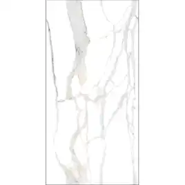 Керамогранит AVS Satvario Valencia 60x120 карвинг, белый