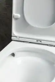 Напольный унитаз Allen Brau Priority Tornado 4.31006.20 безободковый, цвет белый глянец