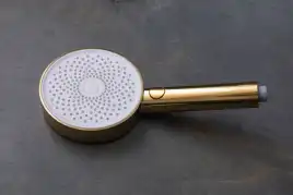 Душевая лейка Allen Brau Priority 5.31B20-GB золото брашированное