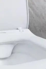 Подвесной унитаз Allen Brau Liberty 4.33007.21 безободковый, цвет белый матовый