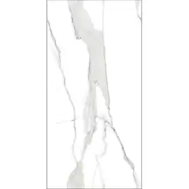 Керамогранит AVS Satvario Valencia 60x120 карвинг, белый