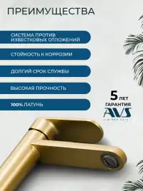 Смеситель для раковины AVS Beauty 811-550-BG, брашированное золото