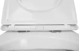 Унитаз подвесной Azario MONEO AZ-0062 UQ1 подвесной, безободковый, со смывом 