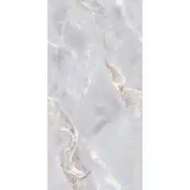 Керамогранит AVS Edonyx Grey 60x120 полированный, серый