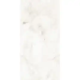 Керамогранит AVS Tronco White 60x120 полированный, белый