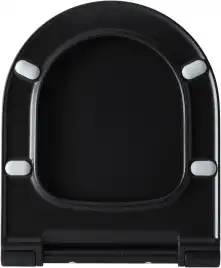 Крышка-сиденье Allen Brau Priority 4.31004.31 черный матовый