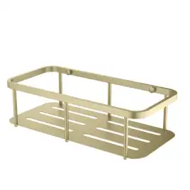 Полка для душа Aquatek AQ4936BG, Золото матовое