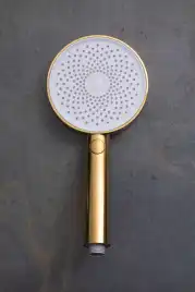 Душевая лейка Allen Brau Priority 5.31B20-GB золото брашированное