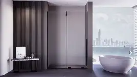 Душевая дверь Veconi Premium Trento PTDW-50B 120 см, PTDW-50B-120-01-C4, профиль Черный, стекло Прозрачное