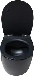 Подвесной безободковый унитаз Allen Brau Fantasy 4.11004.31 без сиденья, черный матовый