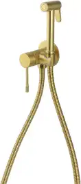 Смеситель с гигиеническим душем Priority 4.0 Allen Brau 5.31С29-GB (с внутренней частью) золото браш