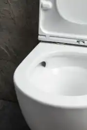 Подвесной унитаз Allen Brau Priority Tornado 4.31009.20 безободковый, цвет белый глянец