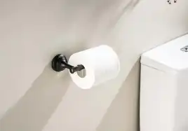 Держатель туалетной бумаги Aquatek Классик AQ4508MB, Черный матовый