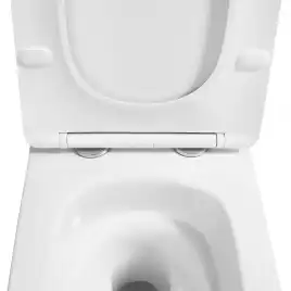 Унитаз подвесной Azario Indor AZ-9004WT подвесной, безободковый, со смывом 