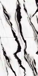 Керамогранит AVS Black Panda 60x120 полированный, белый