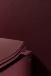 Подвесной унитаз Allen Brau Fantasy 4.11004.BD, безободковый, бордо