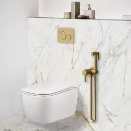 Гигиенический душ Vincea VHFW-101BG со смесителем, брашированное золото