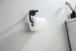 Держатель туалетной бумаги Aquatek Бетта AQ4608MB, Черный матовый