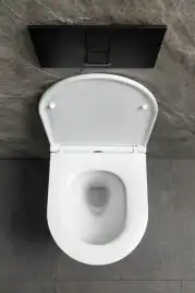 Подвесной унитаз Allen Brau Priority Tornado 4.31009.20 безободковый, цвет белый глянец