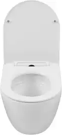 Унитаз подвесной Aquanet Cetus 3.0 Tornado с сиденьем микролифт 348005, белый