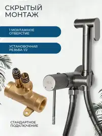 Гигиенический душ со смесителем AVS SEEME 811-331-GM, оружейная сталь
