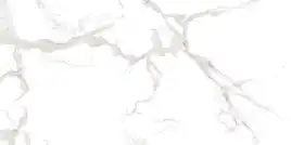 Керамогранит AZARIO MARTIN GREY 60х120 Glossy (F4110821124G)