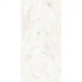 Керамогранит AVS Tronco White 60x120 полированный, белый