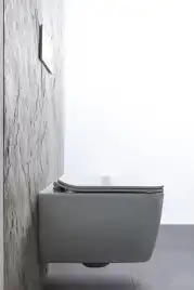 Подвесной унитаз Allen Brau Liberty 4.33007.20 безободковый, цвет белый