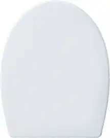 Унитаз подвесной Aquanet ZV-1 с сиденьем микролифт, белый