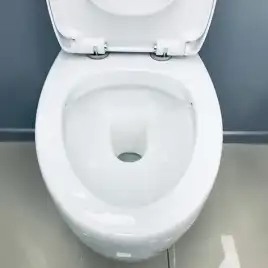 Унитаз подвесной AVS Эллипс 801-0043-P-R-GW безободковый, белый