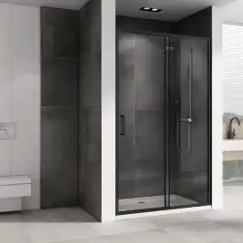 Душевая дверь Abber Schwarzer Diamant 100 см, AG30100B5, профиль Черный, стекло Прозрачное