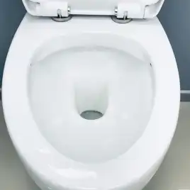 Унитаз подвесной AVS Эллипс 801-0043-P-R-GW безободковый, белый