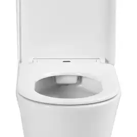 Унитаз-компакт Azario VISE AZ-1343BT напольный, безободковый, в комплекте с бачком и сиденьем микролифт, Белый глянцевый