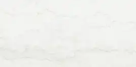 Керамогранит AZARIO ROYAL BOTTOCHINO 60х120 Glossy (P3211112141G)