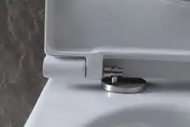 Подвесной безободковый унитаз Allen Brau Reality 4.32006.20 без сиденья, белый глянец