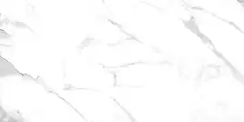 Керамогранит AZARIO JAVIER SATVARIO 60х120 Glossy (F4110821123G)