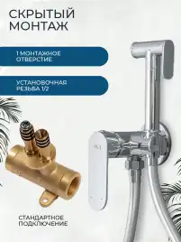 Гигиенический душ со смесителем AVS Beauty 811-531-CR, хром