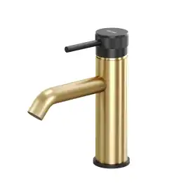 Смеситель для раковины Allen Brau Priority 5.31A01-GB31 черный/золото