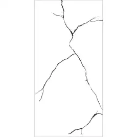 Керамогранит AVS Bettal Black 60x120 полированный, белый