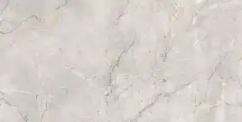 Керамогранит AZARIO ORBITO GREY 60х120 Glossy (P4110821134)