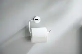 Держатель туалетной бумаги Aquatek Бетта AQ4608CR, Хром