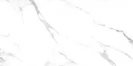 Керамогранит AZARIO JAVIER SATVARIO 60х120 Glossy (F4110821123G)